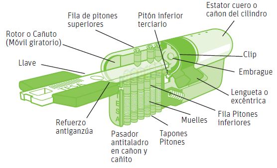 Partes de un cilindro